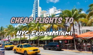 Satisfy Your Desire To Travel By Booking Cheap Flights From NYC To Miami.